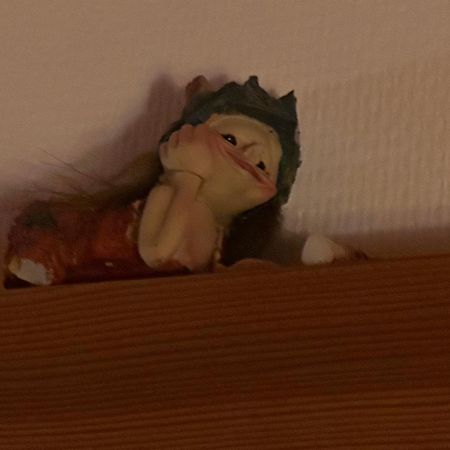 Trollhus - Grosses Familienfreundliches Ferienhaus ボルン エクステリア 写真