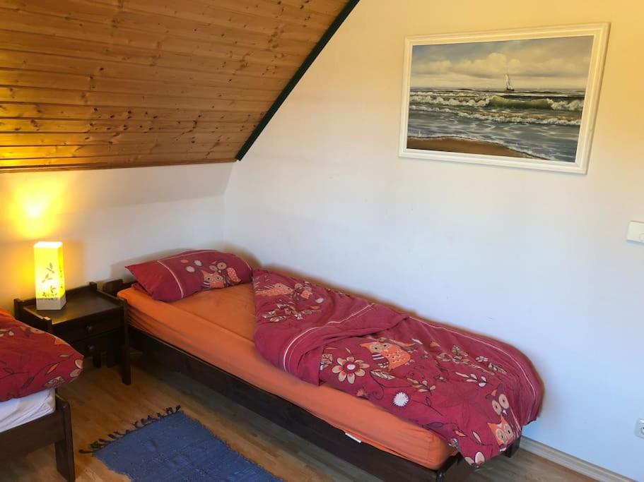 Trollhus - Grosses Familienfreundliches Ferienhaus ボルン エクステリア 写真