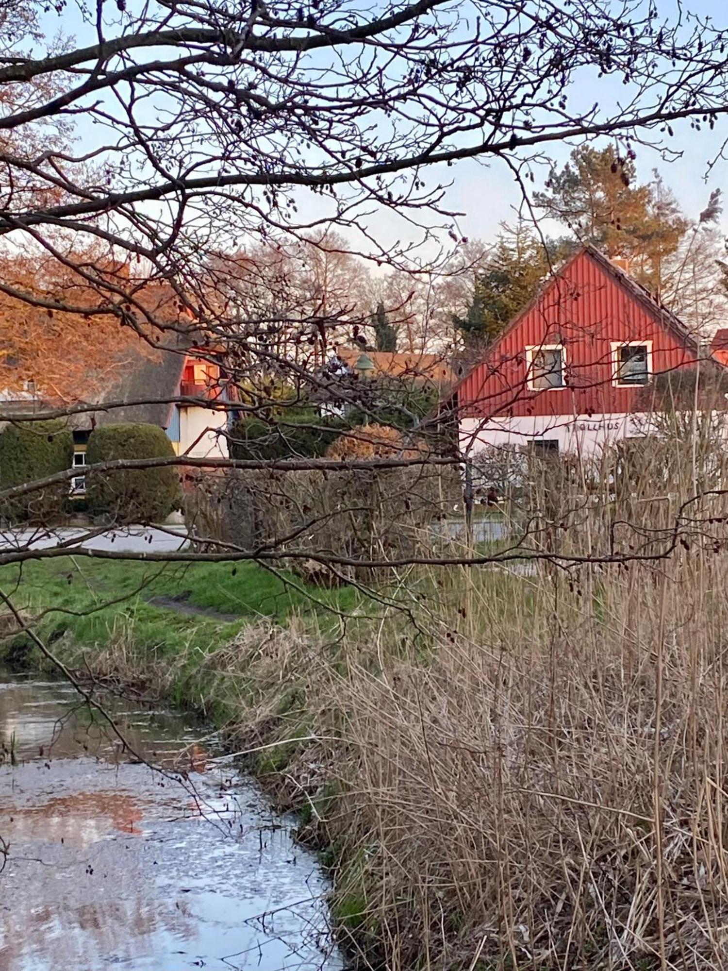 Trollhus - Grosses Familienfreundliches Ferienhaus ボルン エクステリア 写真